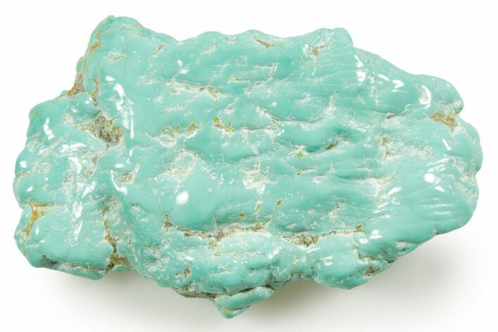 Polished Chilean Turquoise ( grams) Nugget #373193